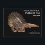 Customizable Sunda Pangolin Postcard<br><div class="desc">An illustration of a Sunda Pangolin printed on postcard. Please click the CUSTOMIZE IT button if you like to change/add your text.</div>