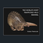 Customizable Sunda Pangolin Postcard<br><div class="desc">An illustration of a Sunda Pangolin printed on postcard. Please click the CUSTOMIZE IT button if you like to change/add your text.</div>