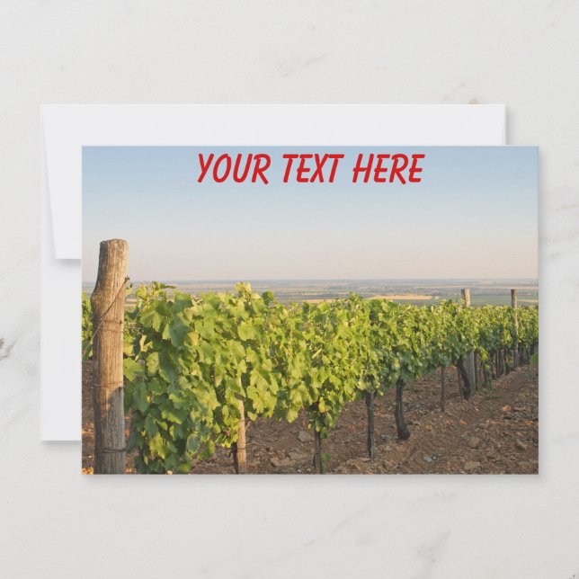 Customizable Tokaj vineyards, Hungary card (Front)