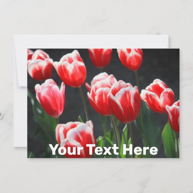 Customizable tulips Card (Front)