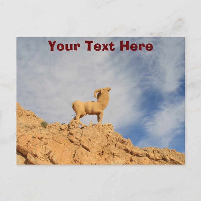 Customizable Tunisia goat statue postcard (Front)