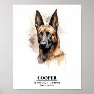 Customizable Watercolor Painting of Malinois Poster