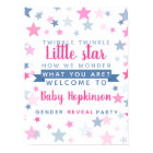 customized Gender reveal party sign boy or girl