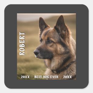 Customized pet memorial best dog ever square sticker