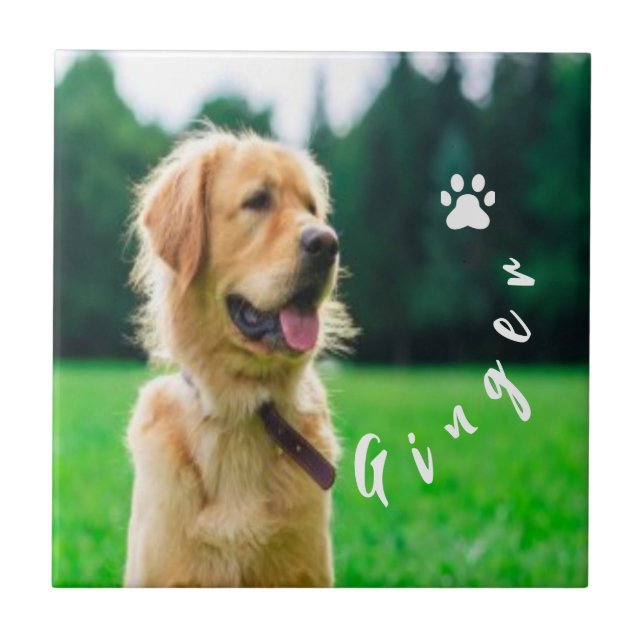  Customized Pet  Photo Dog Lover with Photo Ceramic Tile (Front)