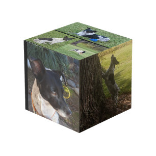 Customized Photo Cube