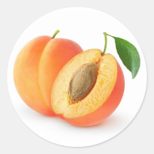 Cut apricots classic round sticker