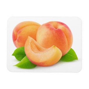 Cut apricots magnet