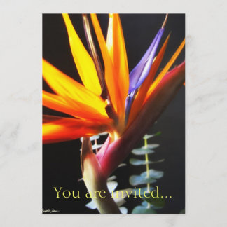 Cut Bird of Paradise Flowers 4 Invitation