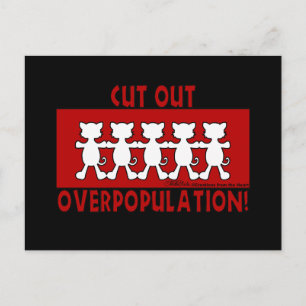 Cut Out Overpopulation! Cats Postcard