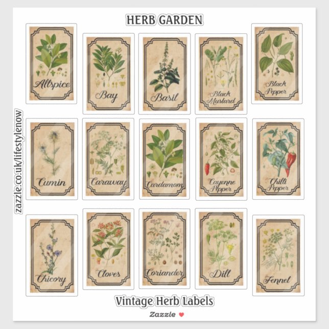 Cut Vinyl Stickers - Vintage Herb Labels (Sheet)