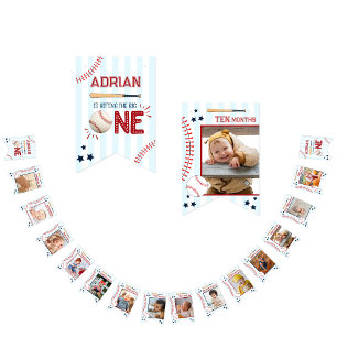 Cute 1st Birthday 12 Month Photo Milestone Bunting