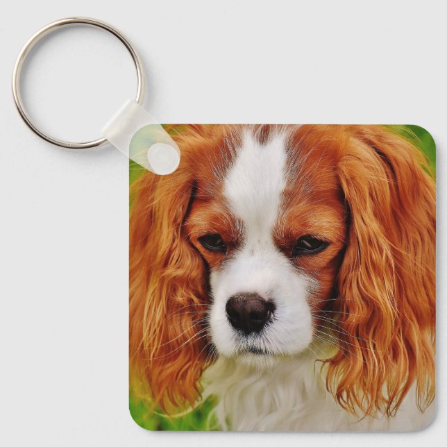 Cute 2 Photo Double Sided Pet Photo Key Ring (Front)