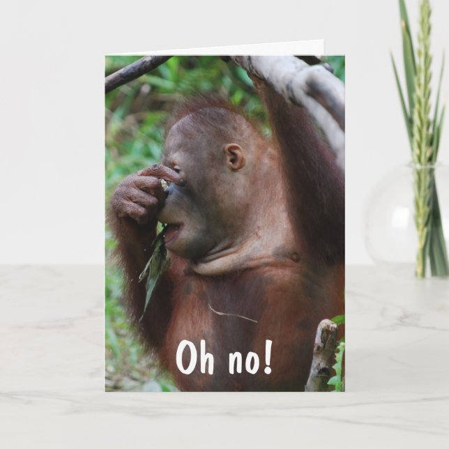 Cute 30th Birthday Animal Photo Card (Front)