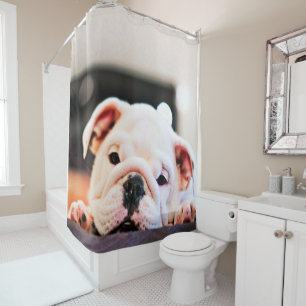 Cute A Puppy English Bulldog Lover Gift Shower Curtain