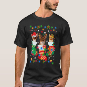 Cute Abyssinian Cat Kitten Christmas Socks Xmas T-Shirt