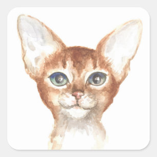 Cute Abyssinian Cat Kitty Kitten Mum Lover Square Sticker