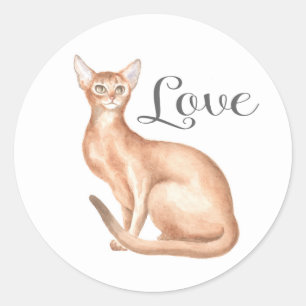 Cute Abyssinian Cat Mum Kitten Kitty Love Hello Classic Round Sticker