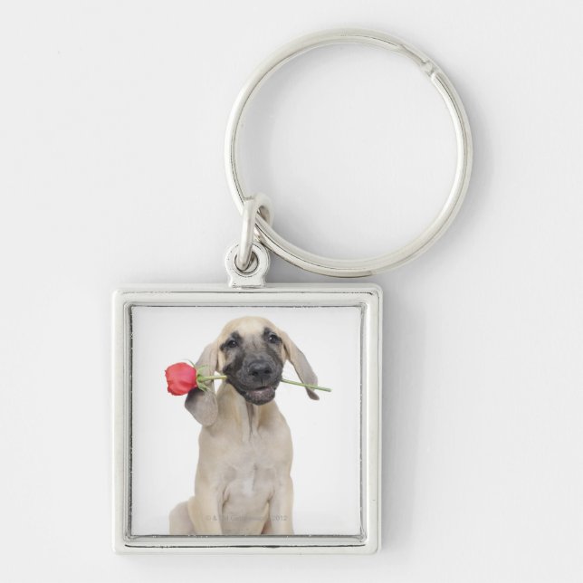 cute,admiration,romance,love, key ring (Front)