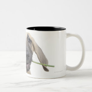 cute,admiration,romance,love, Two-Tone coffee mug
