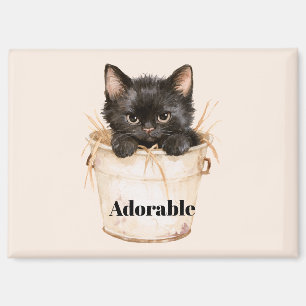 Cute Adorable Black Cat in Bucket Magnet