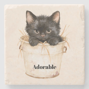 Cute Adorable Black Cat in Bucket Stone Coaster