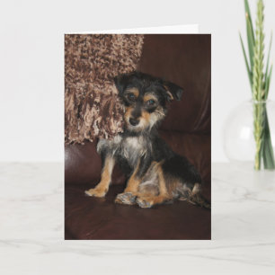 Cute, Adorable Dog Mother's Day Card