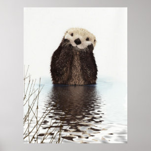 Cute Adorable Fluffy Otter Animal Poster