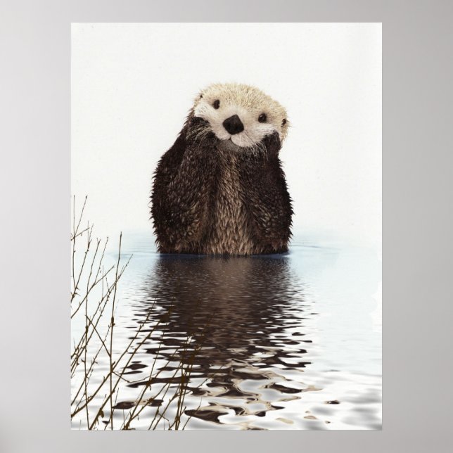 Cute Adorable Fluffy Otter Animal Poster (Front)