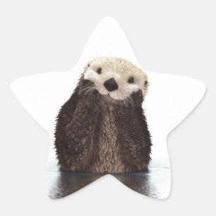 Cute Adorable Fluffy Otter Animal Star Sticker