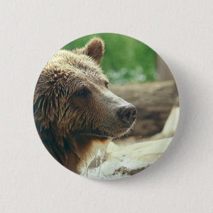 Cute Adorable Nature Bear Animal Face Eyes 6 Cm Round Badge