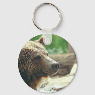 Cute Adorable Nature Bear Animal Face Eyes Key Ring