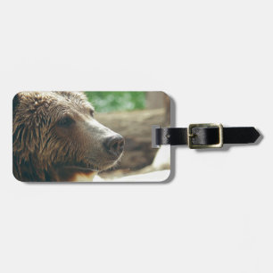 Cute Adorable Nature Bear Animal Face Eyes Luggage Tag