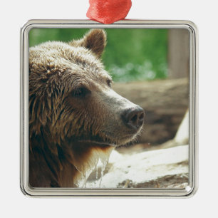 Cute Adorable Nature Bear Animal Face Eyes Metal Ornament
