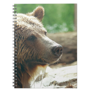 Cute Adorable Nature Bear Animal Face Eyes Notebook