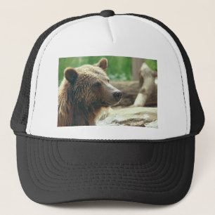 Cute Adorable Nature Bear Animal Face Eyes Trucker Hat