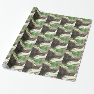 Cute Adorable Nature Bear Animal Face Eyes Wrapping Paper