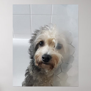 Cute Adorable West Highland White Terrier In Bath Poster