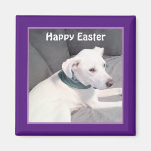 Cute Adorable White Puppy Dog Purple Easter Gift Magnet