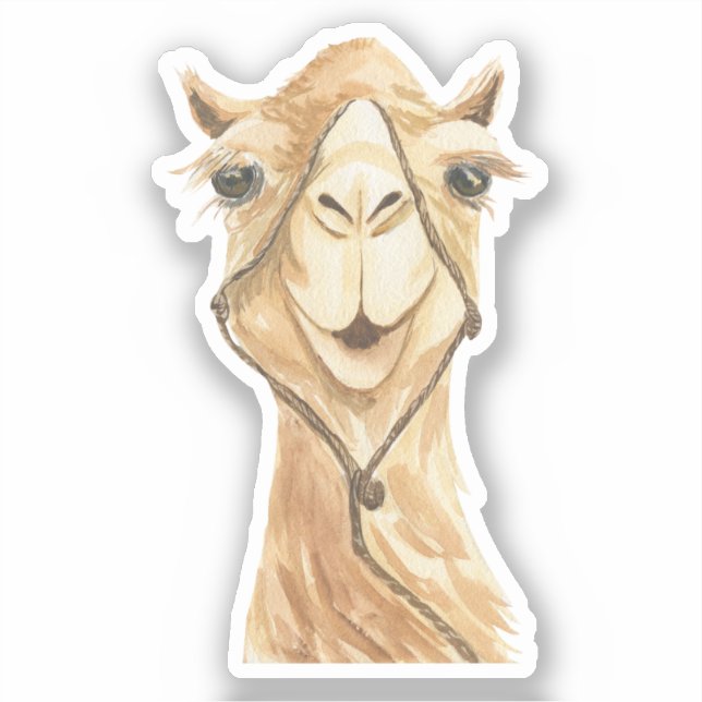 Cute Aesthetic Watercolor Arabian Camel (Front)