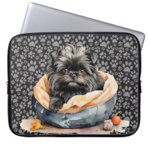 CUTE AFFENPINSCHER PUPPY DOG IN BED