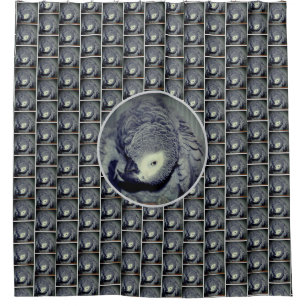 Cute African Grey Parrot Bird  Shower Curtain