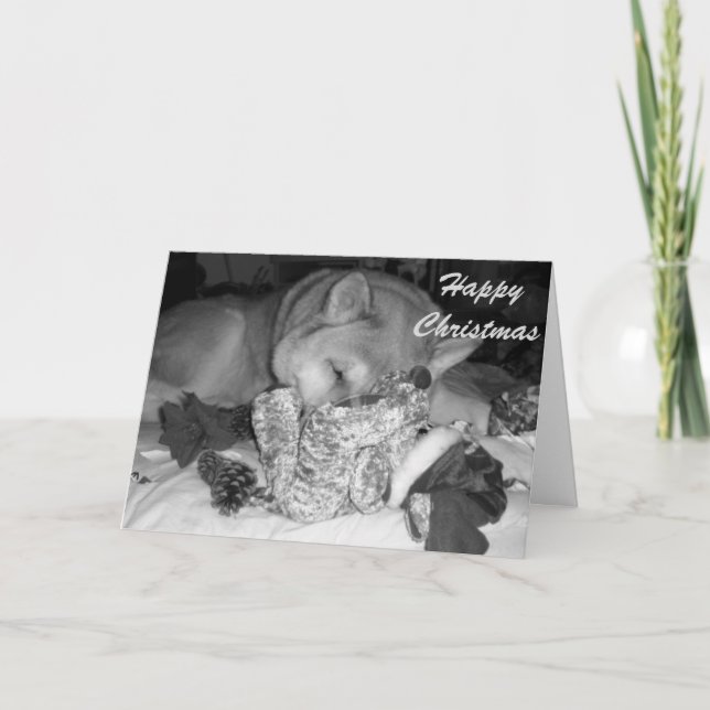 Cute akita dog asleep cuddling toys for christmas holiday card (Front)