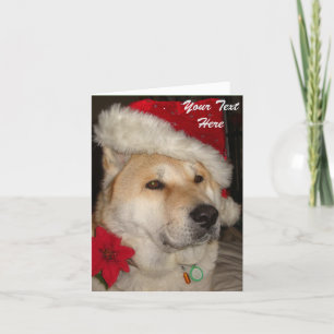 Cute akita dog red santa hat pointsettia christmas holiday card