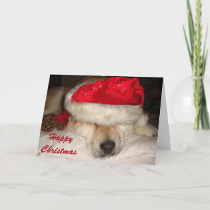 Cute akita dog santa hat cones asleep christmas holiday card