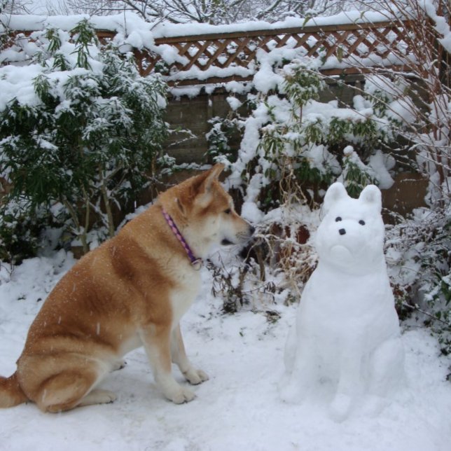 cute akita dog sitting in snow with snowman dog postcard (Creator Uploaded)
