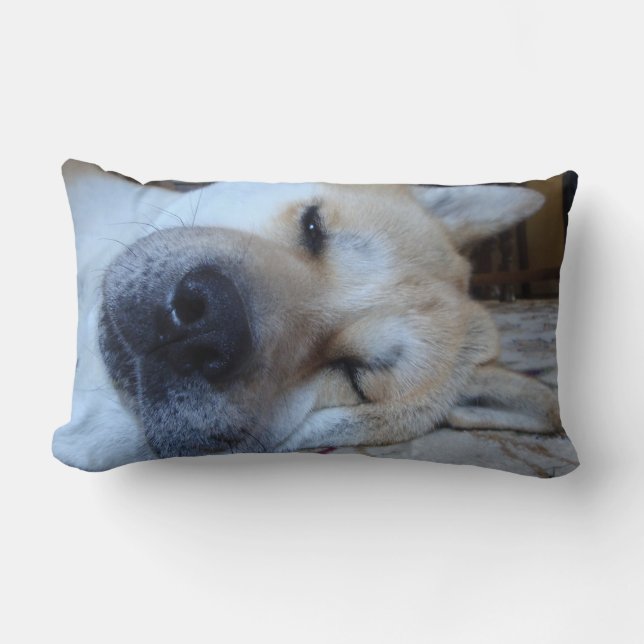 Cute akita dog sleeping with funny expression lumbar cushion (Front)