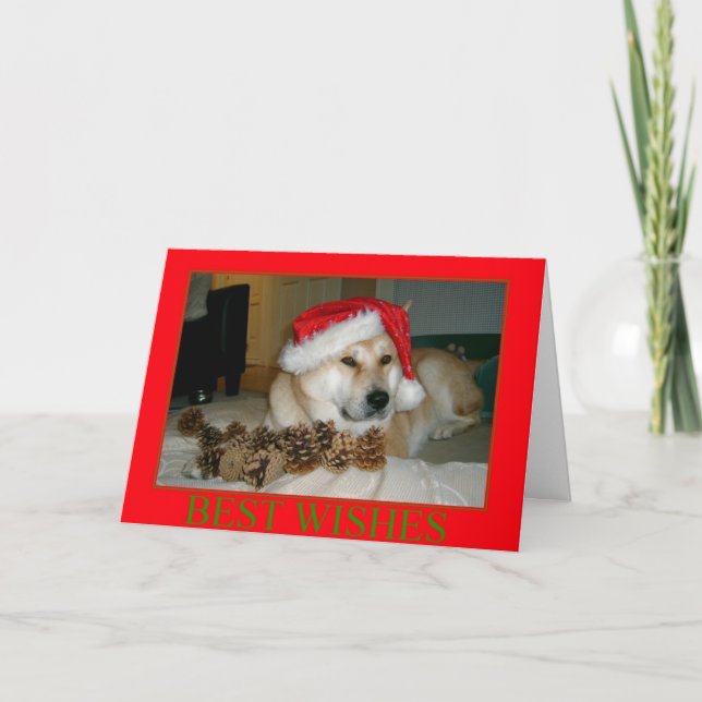 Cute akita in red santa hat with christmas cones holiday card (Front)