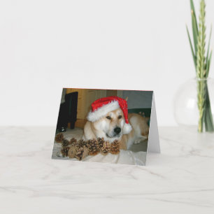 Cute akita in red santa hat with christmas cones holiday card