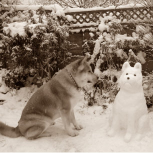 cute akita in snow with snowman akita dog photo jigsaw puzzle